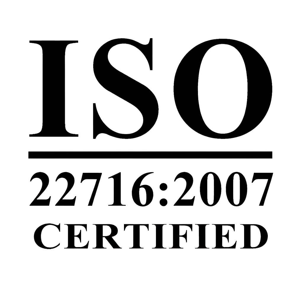 ISO Logo 2007